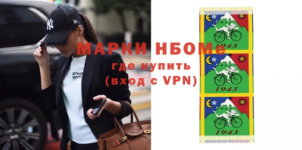 шишки Лабытнанги