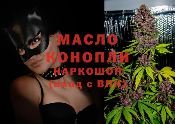 шишки Лабытнанги