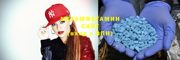 шишки Лабытнанги