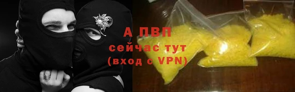 шишки Лабытнанги