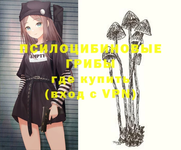 Альфа ПВП Кукмор