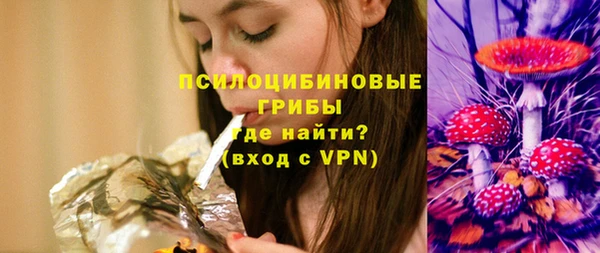 шишки Лабытнанги