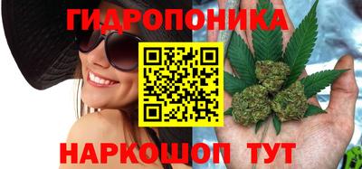 прущие крисы Ирбит