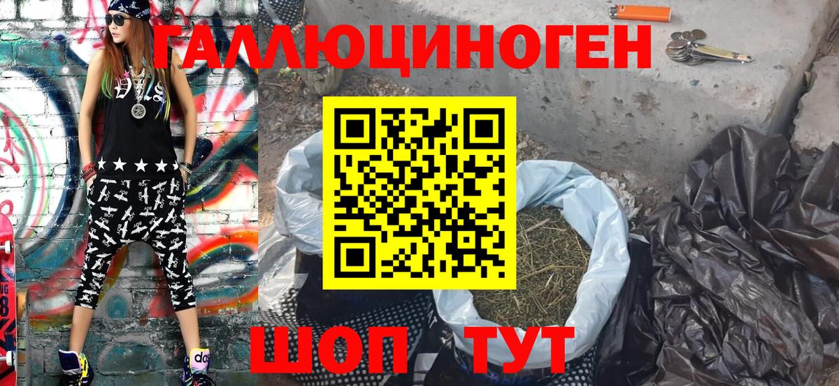 Кизилюрт  Псилоцибиновые грибы прущие грибы  Вход с VPN 